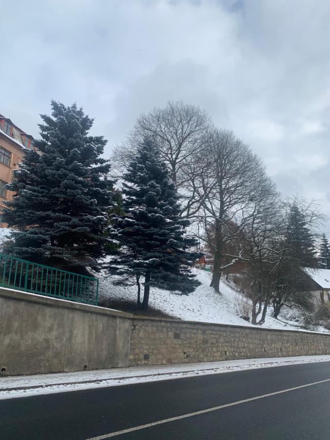 Apartman V Krusnych Horach-Free Parking Яхимів Екстер'єр фото