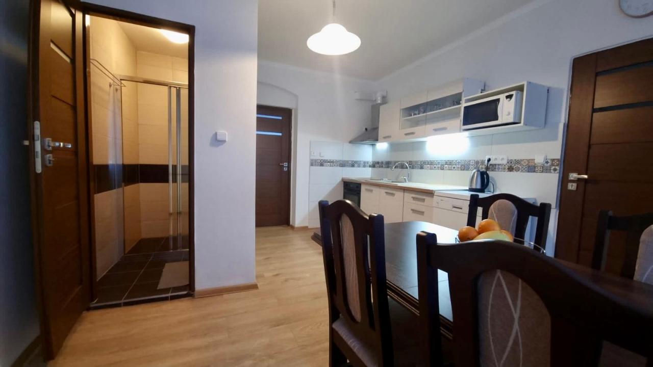 Apartman V Krusnych Horach-Free Parking Яхимів Екстер'єр фото