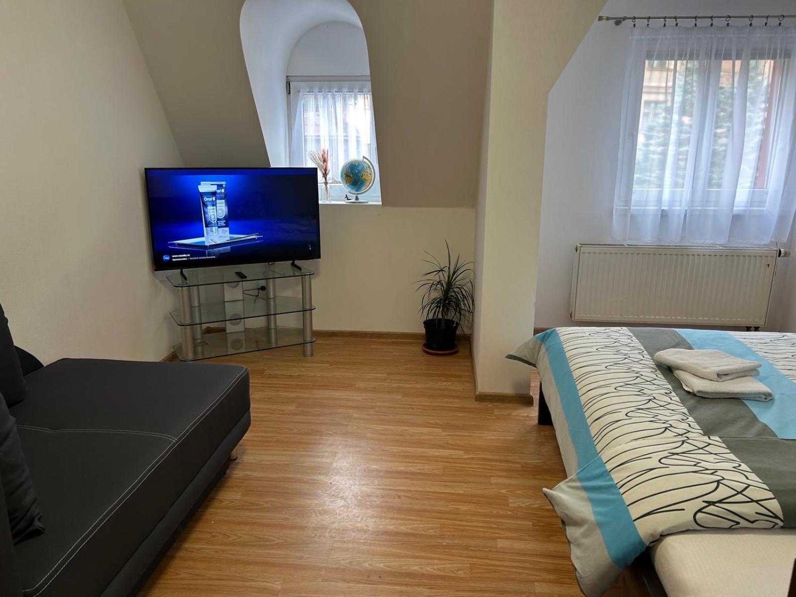Apartman V Krusnych Horach-Free Parking Яхимів Екстер'єр фото